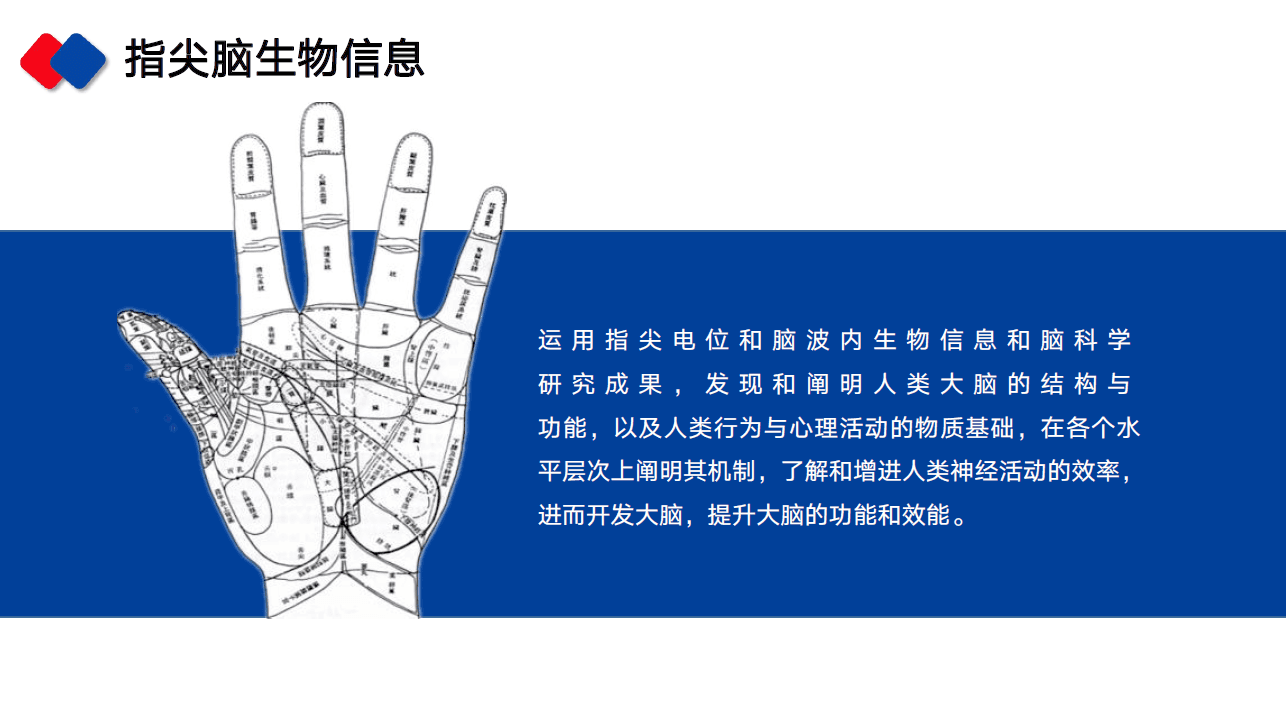 指尖电位