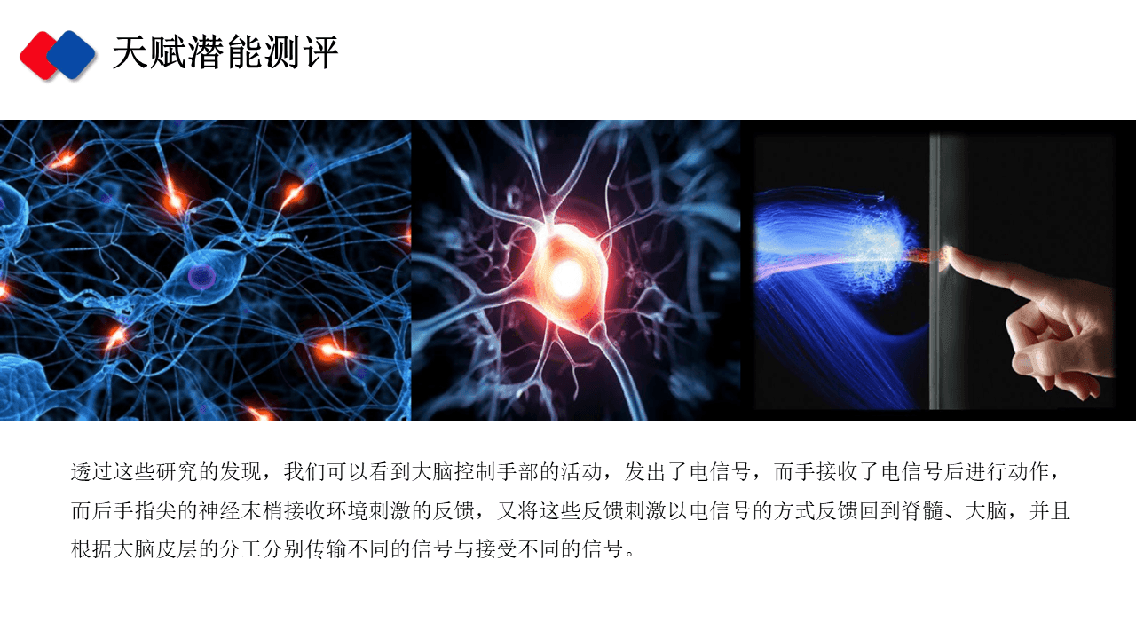 天赋潜能测评